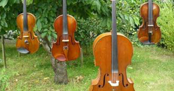 Les instruments d'Hêméra Quartett au jardin !